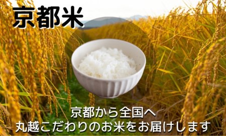 訳あり 京都米食べ比べセット 5kg×2 計10kg