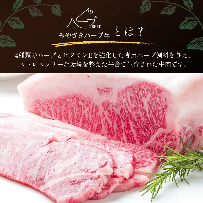 小分けで便利＜宮崎ハーブ牛＞ ホルモン 小腸（200g×4パック）国産【B577】