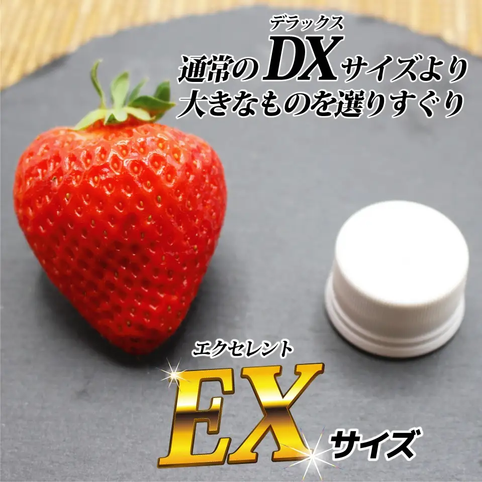 【先行予約】12月発送！「博多あまおう」EX　贈答用化粧箱　約450g 1箱【ほたるの里】_HA0754