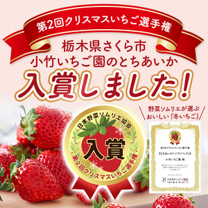 いちご 4種 食べ比べセット（とちおとめ、ミルキーベリー、とちあいか、スカイベリー）400g×2パック 800g ※2027年1月～発送