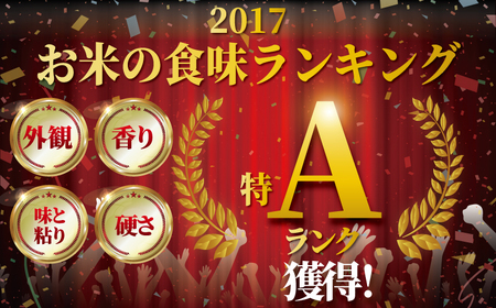 新米 特Aランク はるみ 5kg 新米 【令和8年産】