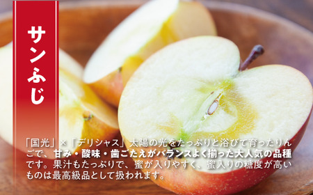 りんご サンふじ グルメ 5kg 最高級 最高ランク 糖度17度以上 光センサー選別品 ながの農業協同組合 2026年12月上旬頃から2026年12月下旬頃まで順次発送予定 令和8年度収穫分 信州 果物 フルーツ リンゴ 林檎 高級 特選 特秀 糖度保証 数量限定 長野 予約 長野県 飯綱町 [0337]