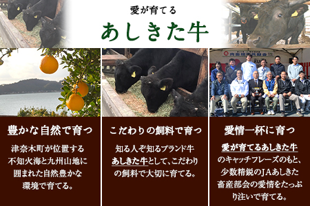 くまもと黒毛和牛 あしきた牛サーロインステーキ 熊本県産 200g×1枚《30日以内に出荷予定(土日祝除く)》熊本県 葦北郡 津奈木町 あしきた農業協同組合 JAあしきた あしきた牛 くまもと黒毛和牛 和王 黒毛和牛 肉