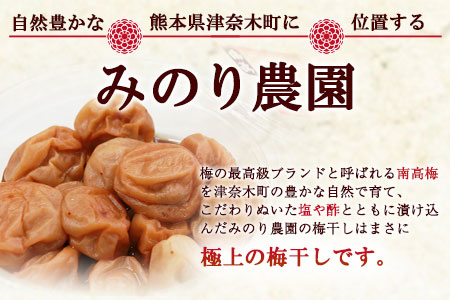 塩漬けうめぼし 800g 梅 梅干し みのり農園