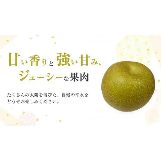 【 2026年8月上旬発送開始 】 茨城県産 梨 幸水 （約 5kg ） 10～14玉 梨 なし 和梨 日本梨 果物 フルーツ 新鮮 旬 期間限定 国産 先行予約
