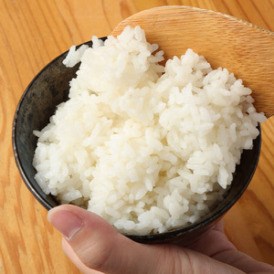 【先行予約】令和6年産　新米　 ミルキークイーン精米10kg（5kg×2袋）  【R00469】