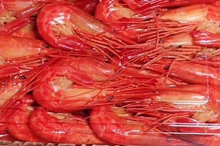 【北海道根室産】北海しまえび1kg B-11067