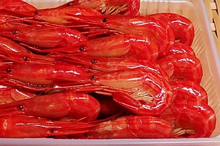 【北海道根室産】北海しまえび500g A-14214