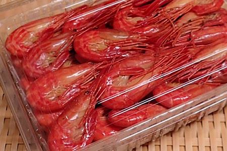 【北海道根室産】北海しまえび1kg B-14069