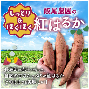 《 訳あり 》飯尾農園 紅はるか 約10kg 芋 いも さつまいも サツマイモ 鹿児島県産 国産 長島町産 べにはるか 熟成【飯尾農園】miio-7232