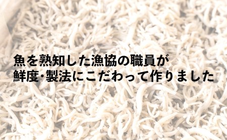 釜揚げしらす 1.2kg たっぷり 冷凍  沼津我入道漁協特製