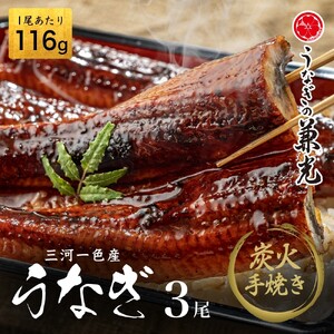 炭火手焼き 愛知県三河一色産うなぎ蒲焼き　3尾(1尾あたり116g～135g)・U025-19