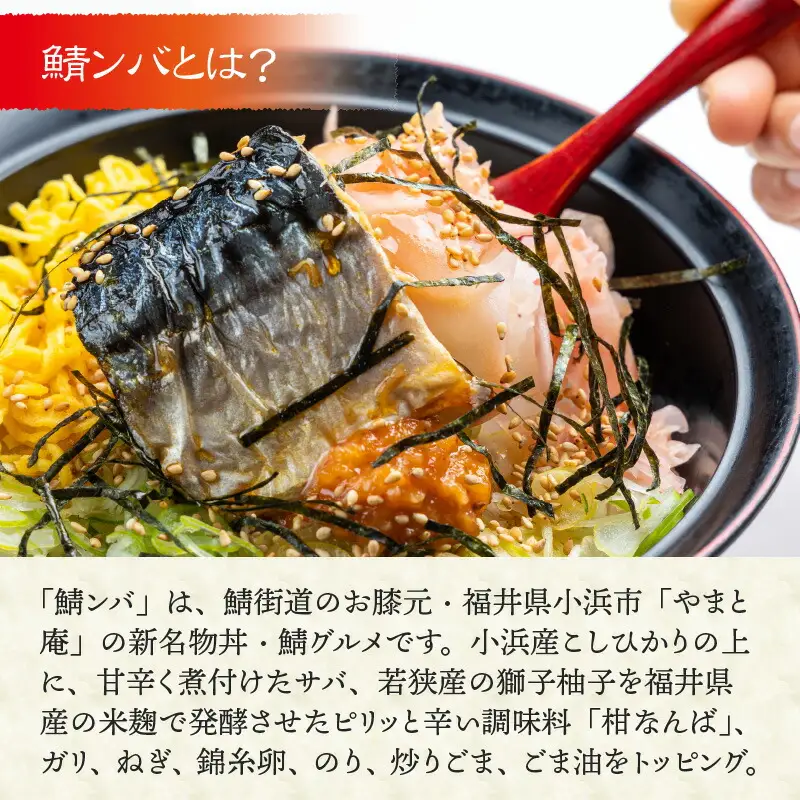 【惣菜・べんとうグランプリ2025優秀賞受賞！】おうちで鯖ンバ　2食入り  冷凍丼 簡単調理 さば [BFBP003] 【配送不可地域：北海道・沖縄・離島】 