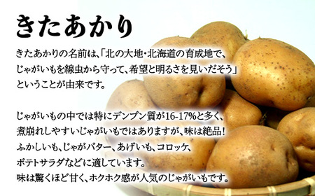【先行予約】【訳あり】じゃがいも福袋20kg （2026年8月上旬～12月中旬まで順次お届け） 北海道森町産 野菜 ジャガイモ mr1-0145
