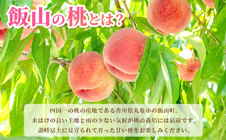 桃 約 2kg もも ピーチ 桃