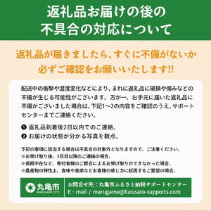 讃州丸亀 フルーツ定期便 9回 旬のフルーツ 果物定期便 キウイ いちご 桃 シャインマスカット ピオーネ みかん びわ 八朔 柑橘