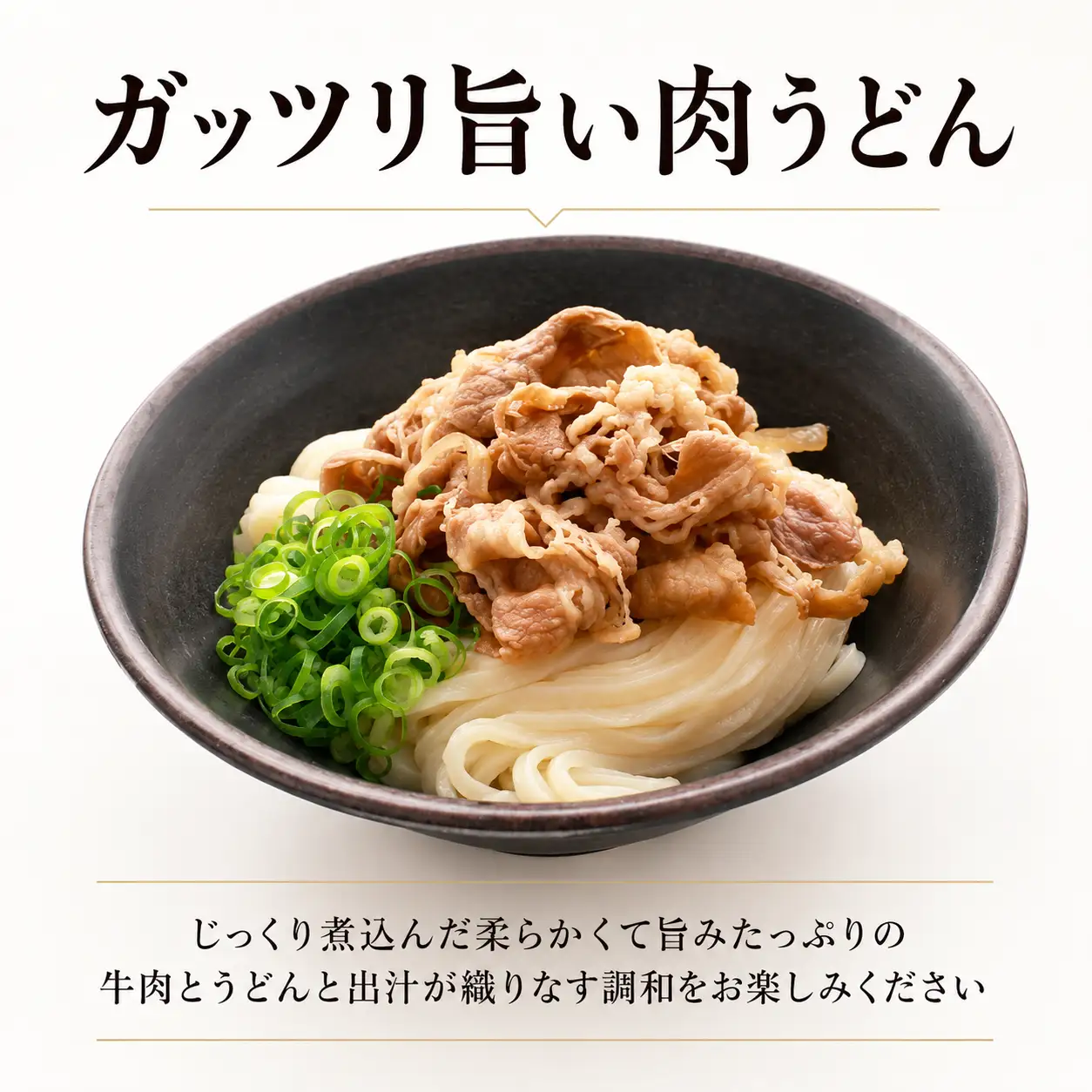 うどん 12食 さぬきうどん 半生 なかむら 人気 