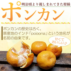 ＜愛媛県西予市産 ポンカン 約9kg 贈答用＞ 果物 くだもの フルーツ 蜜柑 ミカン 柑橘 ぽんかん 果実 果肉 ジューシー 特産品 美味しい おいしい 甘い ギフト 段畑みかん 愛媛県 西予市【常温】『2025年1月中旬～2月中旬迄に順次出荷予定』ADM0014