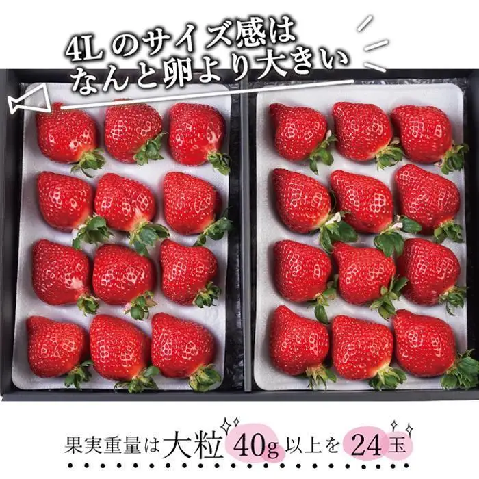 【2027年1月～4月出荷分予約販売】まるで宝石！希少な大粒サイズを2倍の量で！「完熟あまおう」4Lサイズ900g入り
