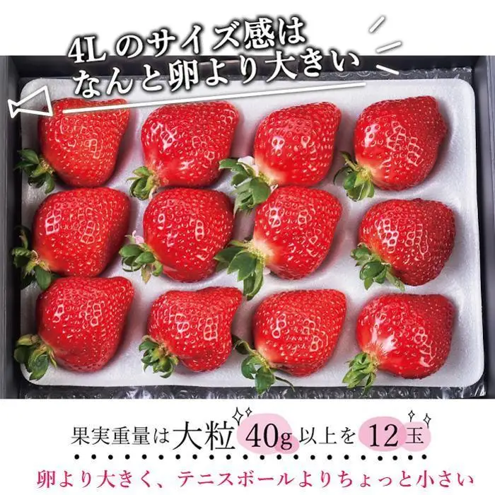 【2027年1月～4月出荷分予約販売】まるで宝石！希少な大粒サイズ！「完熟あまおう」4Lサイズ450g入り