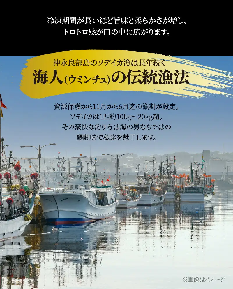【 サイズ不揃い 】 ソデイカ ・ 刺身用ブロック 1kg/ 沖永良部島特産 W009-055u 魚 冷凍 イカ 加工品