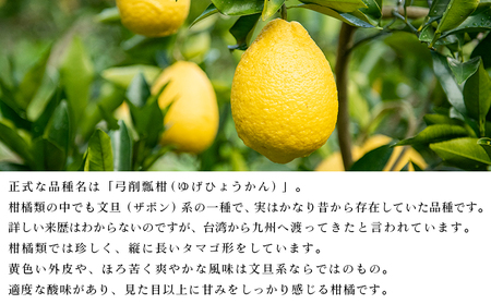 ＜無茶々園のひょう柑 約3kg＞ 【先行予約】果物 みかん ミカン 蜜柑 柑橘 フルーツ ひょうかん 弓削瓢柑 特産品 愛媛県 西予市【常温】『2027年4月～5月上旬迄に順次出荷予定』AMC0009