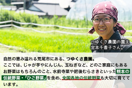 新米 令和6年産 ひのひかり 白米18kg 熊本県荒尾市産 つゆくさ農園 《30日以内に出荷予定(土日祝除く)》 美味しい米 お米 熊本県産米 くまもと米 st-p