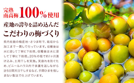 訳あり 梅干し詰め合わせ 2種 梅干し
