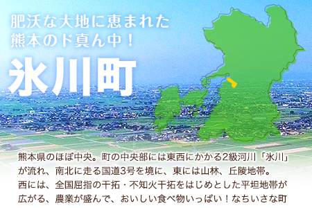 手羽元 若鶏 4kg 熊本産 | 鶏肉  手羽元