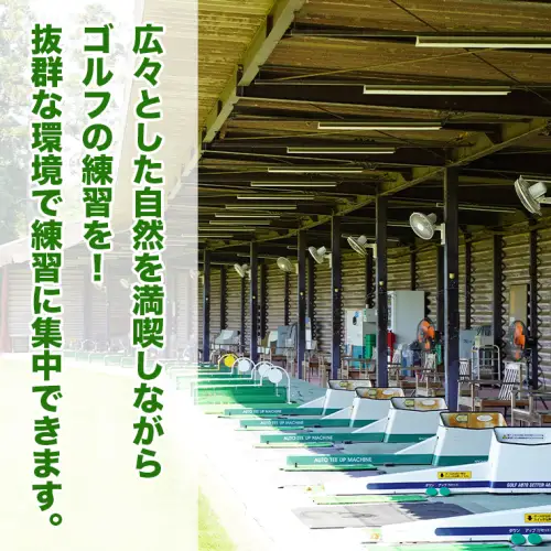 ゴルフ練習場回数券 5回券（250球） メンバー用 イベントやチケット ゴルフ場利用券 打ちっぱなし 回数券 アウトドア メンバー [CD001ya]