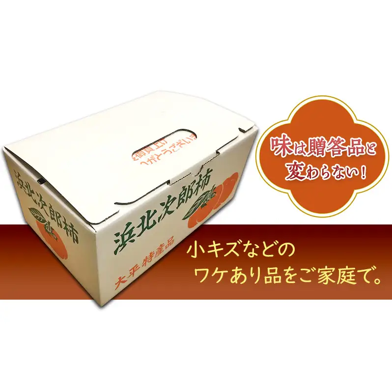 【2026年11月中旬より順次発送】【幻の柿】次郎柿ワケあり（小キズあり）3kg 12個入り 果物 フルーツ かき 冬の味覚 産地直送 静岡県産 浜松市産 