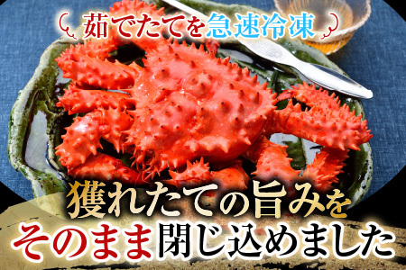 【北海道根室産】花咲かに500～650g×6尾 D-70046