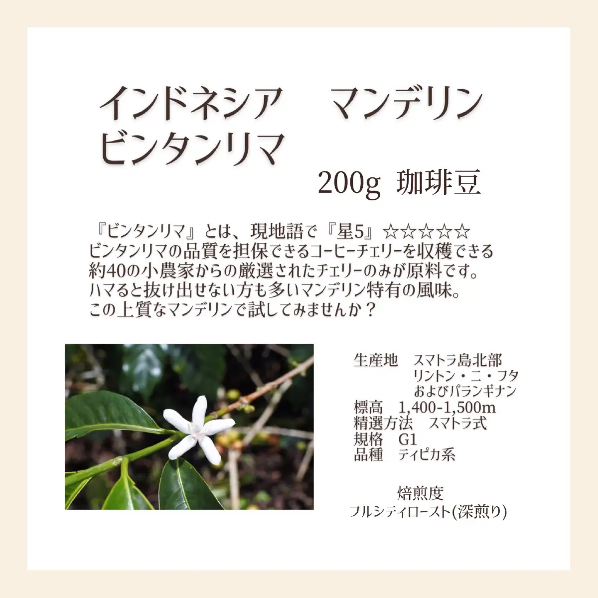 【上田珈琲豆焙煎堂】珈琲豆 深煎り2種×200ｇインドネシアマンデリン・ウガンダAA【豆】 HNNBM001