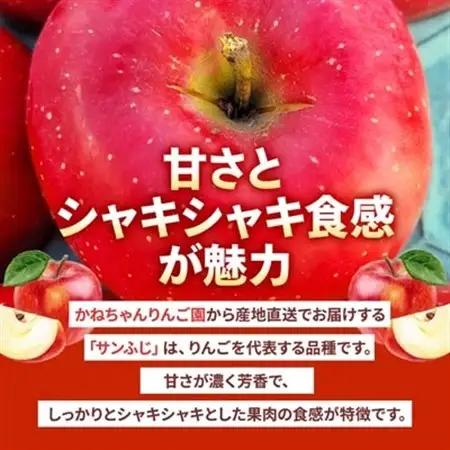 【訳あり】青森県産りんご「サンふじ家庭用」約5kg　産地直送!_果物・フルーツ りんご  リンゴ 林檎_【配送不可地域：離島】【1321109】