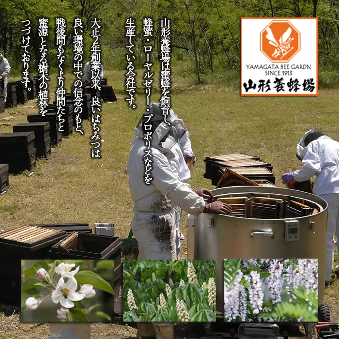 【純粋蜂蜜】 混花蜜 2400g FZ23-100