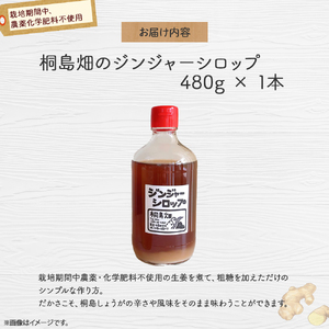 【桐島畑】ジンジャーシロップ 1本（480g） 栽培期間農薬 化学肥料不使用 生姜 Fkh-B08／ 生姜 しょうが 生姜シロップ ジンジャー 無農薬