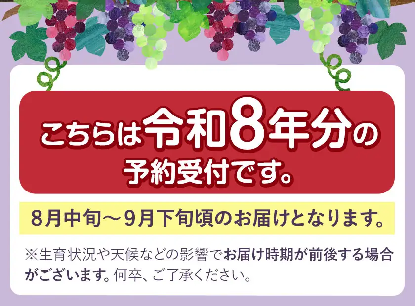 【先行予約】巨峰 ぶどう 2kg (約4〜5房)  受付 《8月中旬-9月下旬頃出荷》 フルーツ 種あり 巨峰