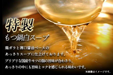 ふるさと納税 六蔵　博多明太もつ鍋セット国産牛もつ600ｇ（5～6人前）株式会社OSADA《30日以内に出荷予定(土日祝除く)》