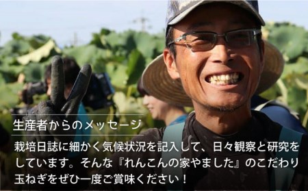【2回定期便】5月6月発送 白石玉ねぎ 10kg / 玉ねぎ [IAW007]