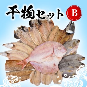 干物セットB N014-YZB240