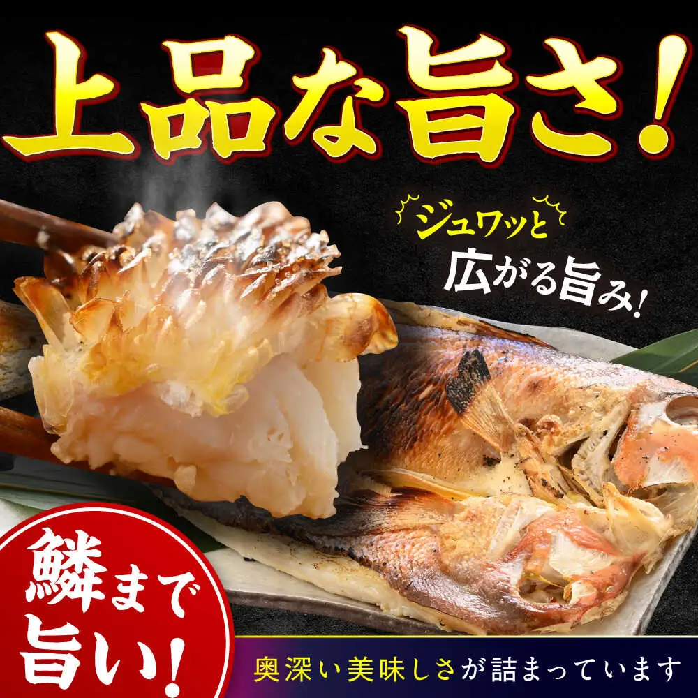 【加福鮮魚】若狭ぐじ 一汐開き 1尾 800g　甘鯛 タイ アカアマダイ 焼き魚 高級 小浜市 / 加福鮮魚【配送不可地域：北海道・沖縄・離島】  [BFBC001] 