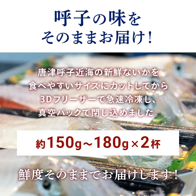『先行予約』唐津呼子産いか活造り 2杯(約150g～180g×2) 急速冷凍 新鮮そのまま食卓へ！※水揚げあり次第6月以降順次発送させていただきます。