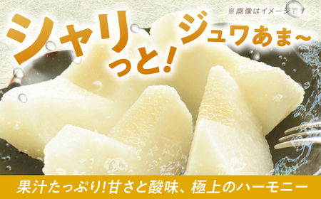 【2026先行予約】梨（豊水）約5kg [EBY002] 梨