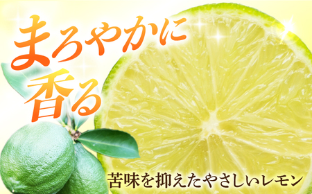 【長崎県長与町産】璃の香 （ りのか ） 約3kg レモン ー2026年8月下旬より発送ー 長与町/井上柑橘園 [EAA005]  りのか レモン 3kg フルーツ 果物 くだもの 果実 柑橘 檸檬 れもん 先行予約 レモンティ レモネード 国産 産地直送
