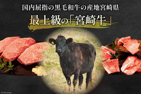 牛肉 宮崎牛 肩ロース焼肉 ミスジステーキ 計750g