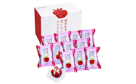 博多あまおう 花いちごのアイス 計11個 セット (A-DR)　