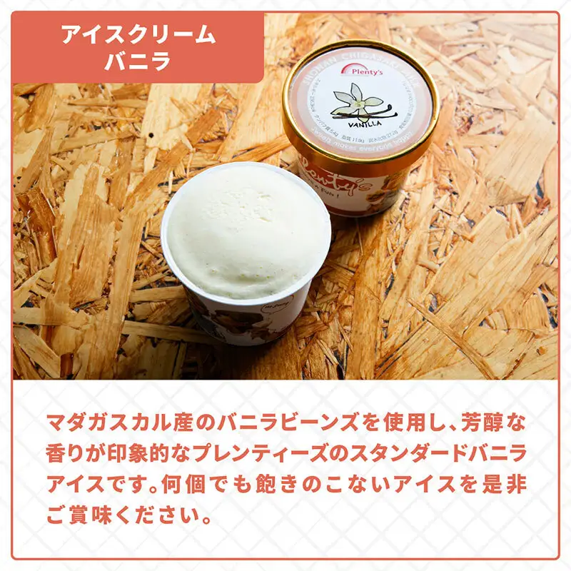 【ふるなびWEEK対象】【湘南茅ヶ崎の人気店】プレンティーズのアイスクリーム（バニラ10個） スイーツ 洋菓子 夏 おやつ デザート 手作り ひんやり 10個入