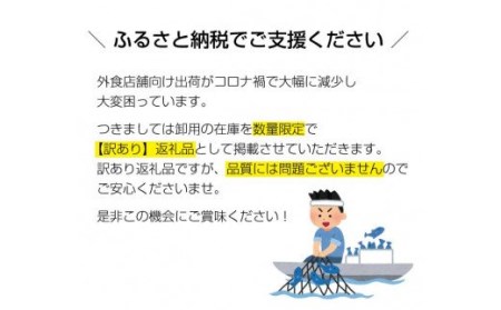 【訳あり】本マグロ 中落ち 600g（200g×3パック）【串本町×北山村】 中落 本マグロ 本鮪【nks502】