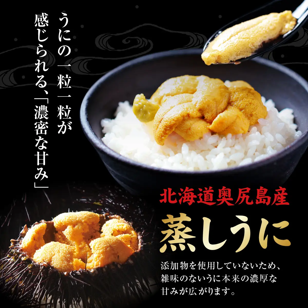 奥尻産 うに 食べ比べ 【大】