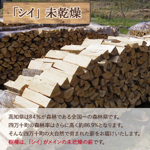 四万十の薪　未乾燥　シイ他(20kg以上)×10箱　Bnm-23 四万十の薪　未乾燥 キャンプ 薪ストーブ ストーブ 薪割り 割り薪 まき 乾燥 済 アウトドア キャンプ ファイヤー 焚き火 焚火 森林 林業 木 サウナ 薪 薪 薪